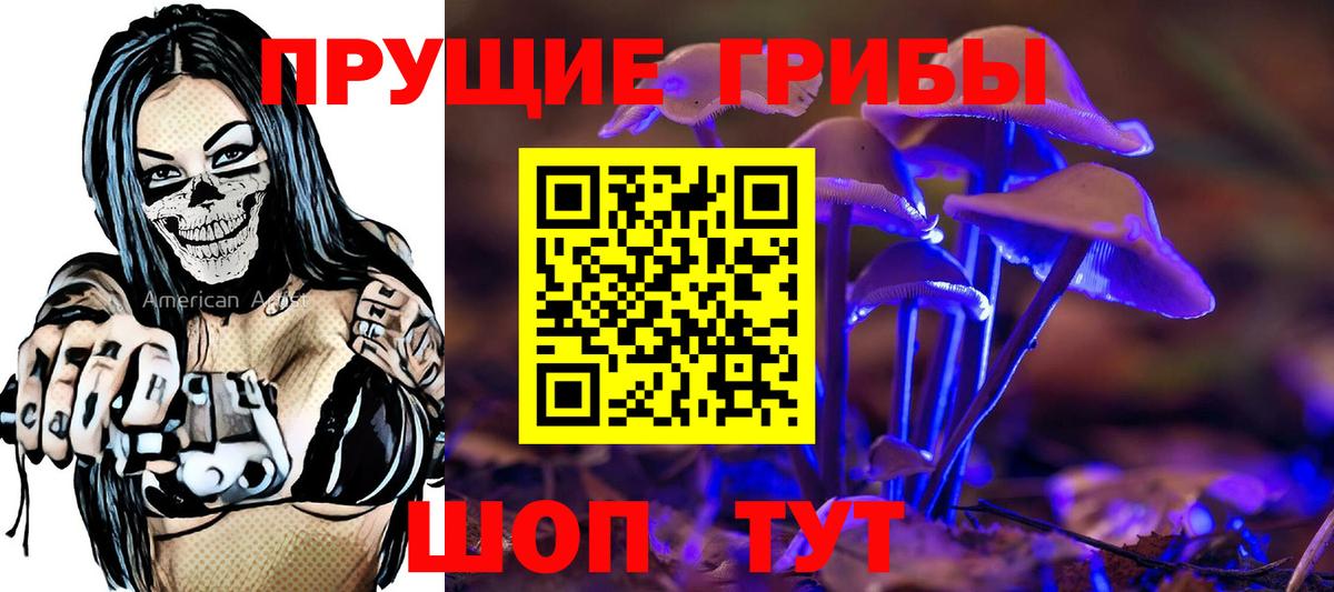 Псилоцибиновые грибы Psilocybine cubensis  Вход с VPN  Псилоцибиновые грибы Psilocybe  Видное 